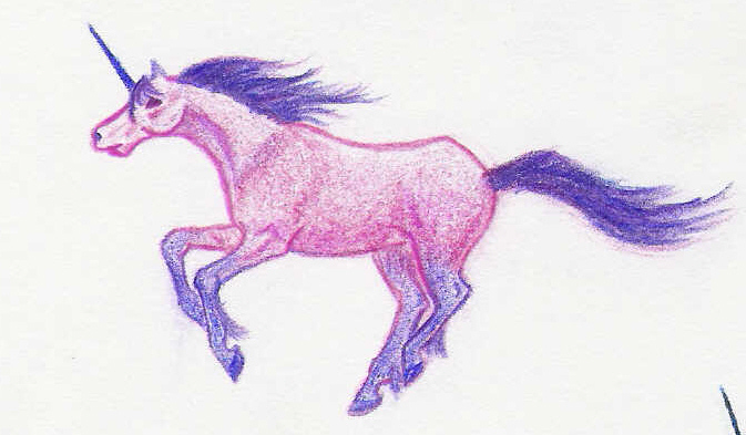 starbelly pink and purple unicorn